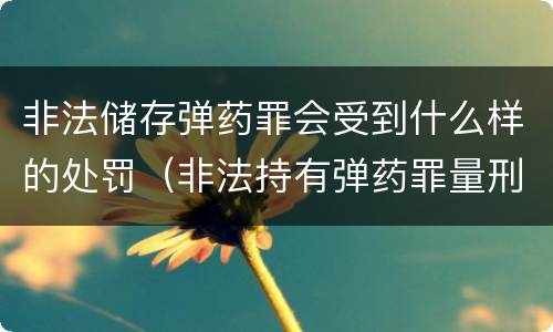 非法储存弹药罪会受到什么样的处罚（非法持有弹药罪量刑标准）