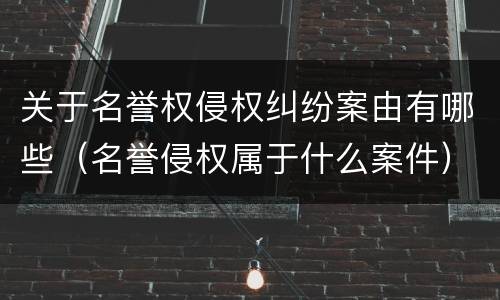 关于名誉权侵权纠纷案由有哪些（名誉侵权属于什么案件）