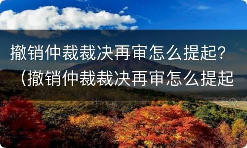 撤销仲裁裁决再审怎么提起？（撤销仲裁裁决再审怎么提起上诉）
