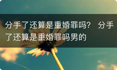 分手了还算是重婚罪吗？ 分手了还算是重婚罪吗男的