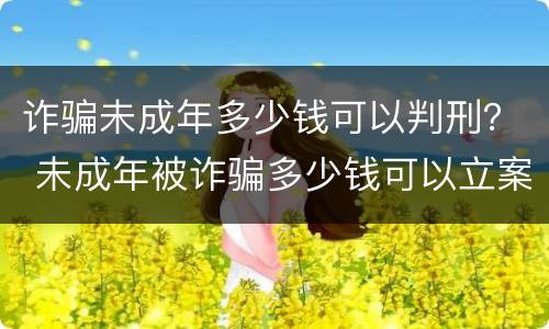 诈骗未成年多少钱可以判刑？ 未成年被诈骗多少钱可以立案