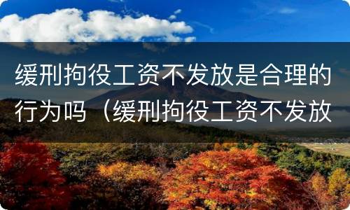 缓刑拘役工资不发放是合理的行为吗（缓刑拘役工资不发放是合理的行为吗为什么）