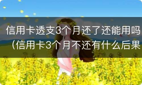 信用卡透支3个月还了还能用吗（信用卡3个月不还有什么后果）