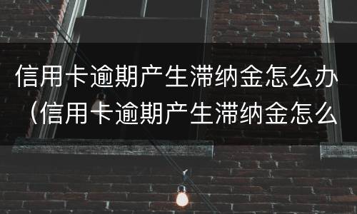 信用卡逾期产生滞纳金怎么办（信用卡逾期产生滞纳金怎么办理）