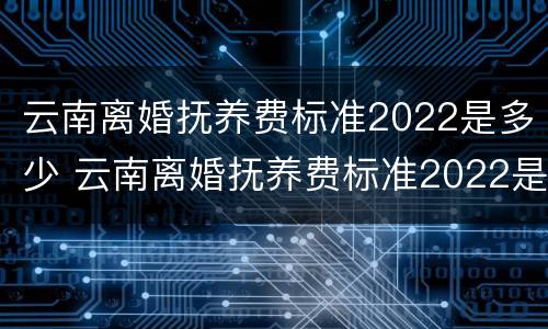 云南离婚抚养费标准2022是多少 云南离婚抚养费标准2022是多少岁
