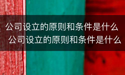 公司设立的原则和条件是什么 公司设立的原则和条件是什么意思