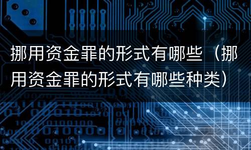 挪用资金罪的形式有哪些（挪用资金罪的形式有哪些种类）