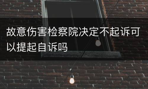 故意伤害检察院决定不起诉可以提起自诉吗