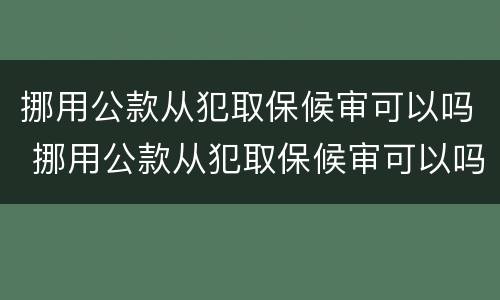 挪用公款从犯取保候审可以吗 挪用公款从犯取保候审可以吗