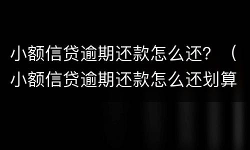 小额信贷逾期还款怎么还？（小额信贷逾期还款怎么还划算）