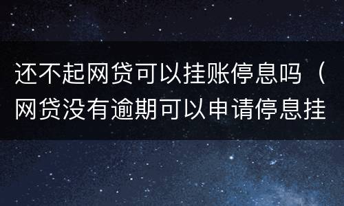 还不起网贷可以挂账停息吗（网贷没有逾期可以申请停息挂账吗）