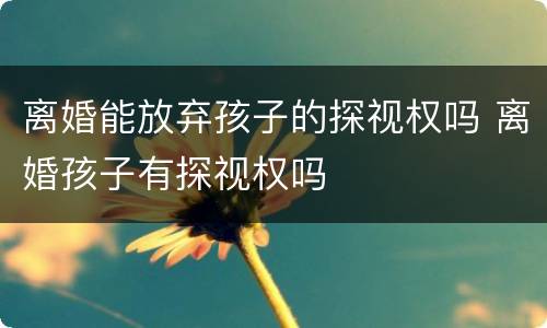 离婚能放弃孩子的探视权吗 离婚孩子有探视权吗