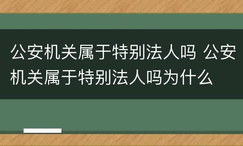 公安机关属于特别法人吗 公安机关属于特别法人吗为什么