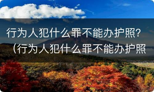 行为人犯什么罪不能办护照？（行为人犯什么罪不能办护照了）