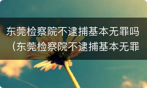 东莞检察院不逮捕基本无罪吗（东莞检察院不逮捕基本无罪吗怎么办）