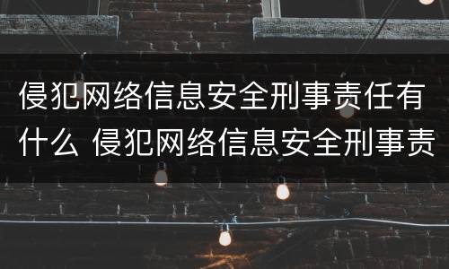 侵犯网络信息安全刑事责任有什么 侵犯网络信息安全刑事责任有什么特点