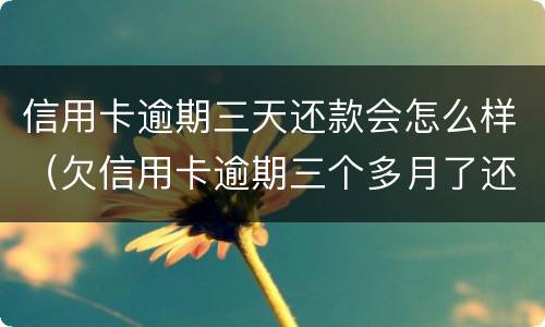 信用卡逾期三天还款会怎么样（欠信用卡逾期三个多月了还钱会有什么影响）