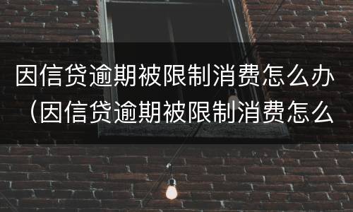 因信贷逾期被限制消费怎么办（因信贷逾期被限制消费怎么办理）