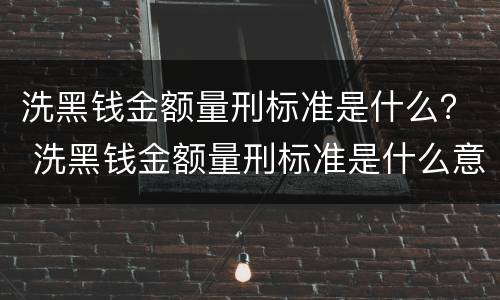 洗黑钱金额量刑标准是什么？ 洗黑钱金额量刑标准是什么意思