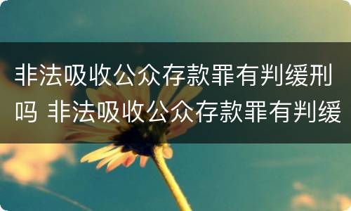 非法吸收公众存款罪有判缓刑吗 非法吸收公众存款罪有判缓刑吗