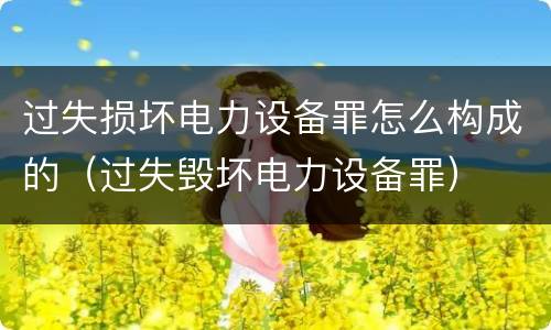 过失损坏电力设备罪怎么构成的（过失毁坏电力设备罪）