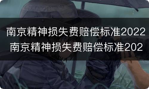 南京精神损失费赔偿标准2022 南京精神损失费赔偿标准2021