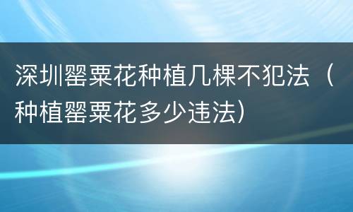 深圳罂粟花种植几棵不犯法（种植罂粟花多少违法）
