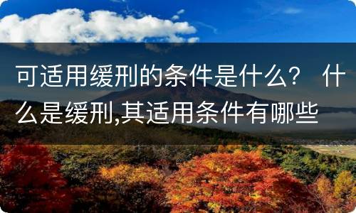 可适用缓刑的条件是什么？ 什么是缓刑,其适用条件有哪些