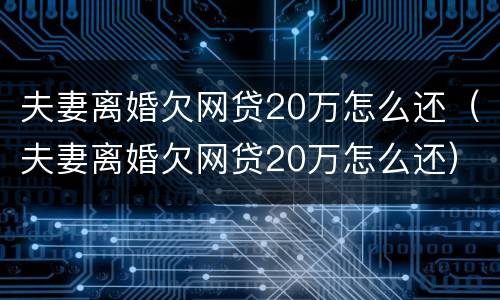 夫妻离婚欠网贷20万怎么还（夫妻离婚欠网贷20万怎么还）