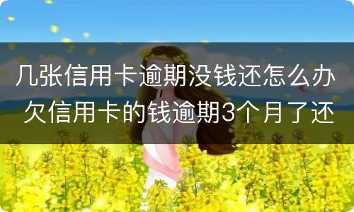 几张信用卡逾期没钱还怎么办 欠信用卡的钱逾期3个月了还不上怎么办