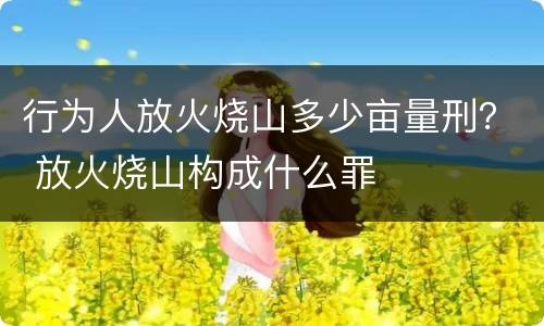 行为人放火烧山多少亩量刑？ 放火烧山构成什么罪