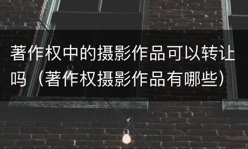 著作权中的摄影作品可以转让吗（著作权摄影作品有哪些）