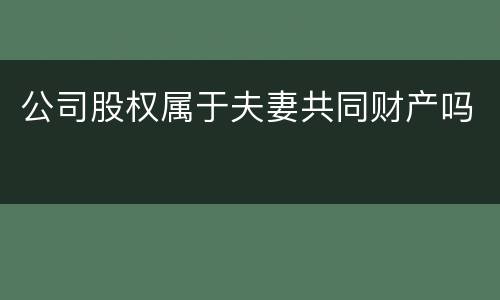 公司股权属于夫妻共同财产吗