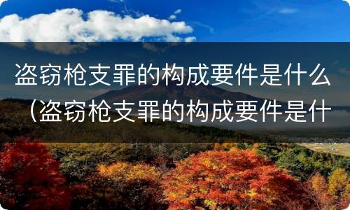 盗窃枪支罪的构成要件是什么（盗窃枪支罪的构成要件是什么意思）