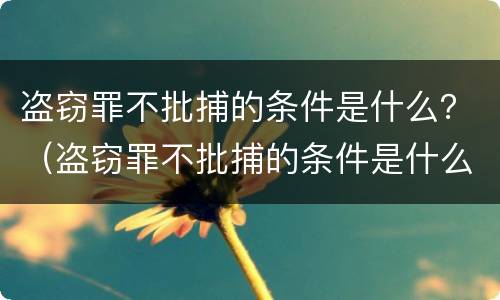 盗窃罪不批捕的条件是什么？（盗窃罪不批捕的条件是什么呢）