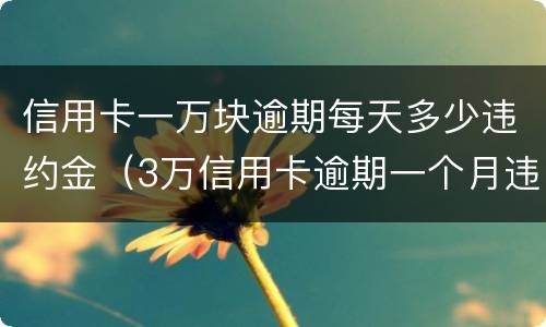 信用卡一万块逾期每天多少违约金（3万信用卡逾期一个月违约金多少）