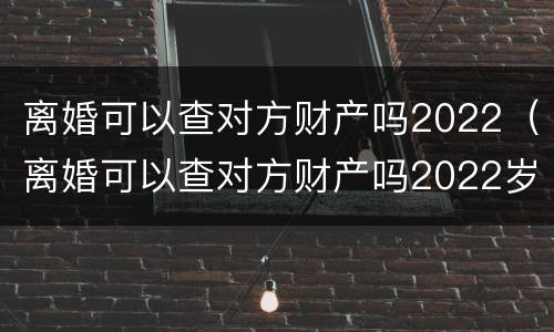 离婚可以查对方财产吗2022（离婚可以查对方财产吗2022岁）