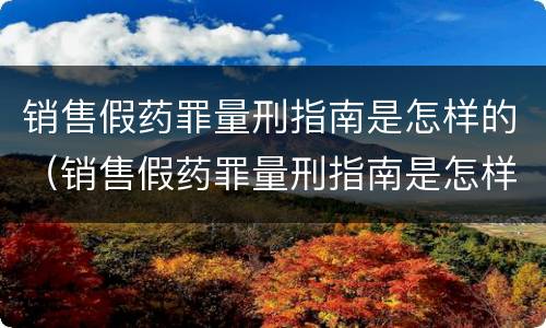 销售假药罪量刑指南是怎样的（销售假药罪量刑指南是怎样的案例）