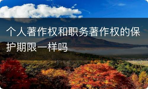 个人著作权和职务著作权的保护期限一样吗