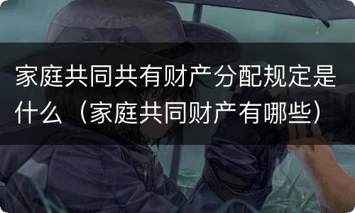 家庭共同共有财产分配规定是什么（家庭共同财产有哪些）