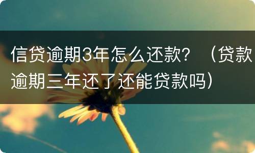 信贷逾期3年怎么还款？（贷款逾期三年还了还能贷款吗）