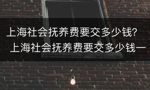 上海社会抚养费要交多少钱？ 上海社会抚养费要交多少钱一个月