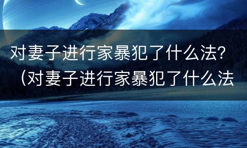 对妻子进行家暴犯了什么法？（对妻子进行家暴犯了什么法规）