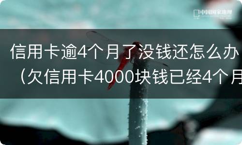 信用卡逾4个月了没钱还怎么办（欠信用卡4000块钱已经4个月没还）