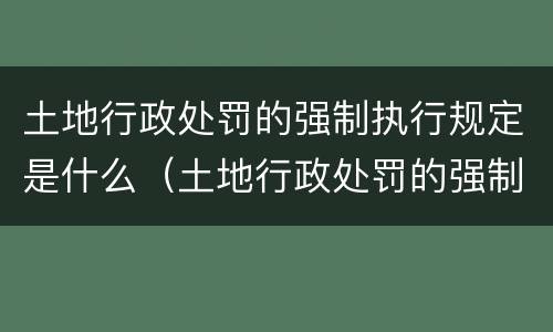 土地行政处罚的强制执行规定是什么（土地行政处罚的强制执行规定是什么文件）