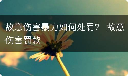 故意伤害暴力如何处罚？ 故意伤害罚款