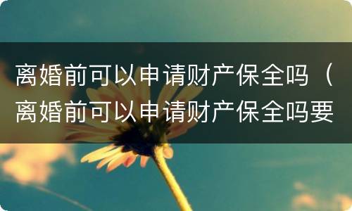离婚前可以申请财产保全吗（离婚前可以申请财产保全吗要多久）