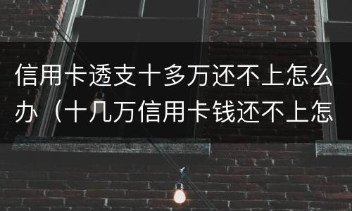信用卡透支十多万还不上怎么办（十几万信用卡钱还不上怎么办）