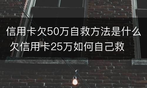 信用卡欠50万自救方法是什么 欠信用卡25万如何自己救