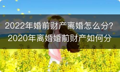 2022年婚前财产离婚怎么分？ 2020年离婚婚前财产如何分
